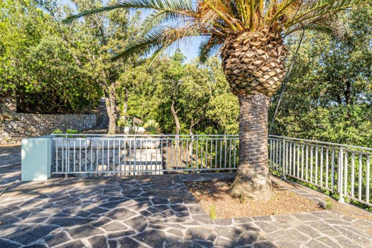 Villa Rosa Naregno Capoliveri Kültér fotó